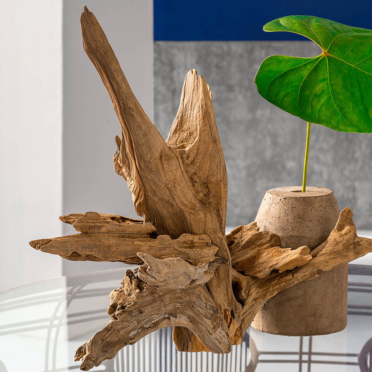 CEBU HOMECRAFT CONSOLIDATED INC. - Design Commune Feature