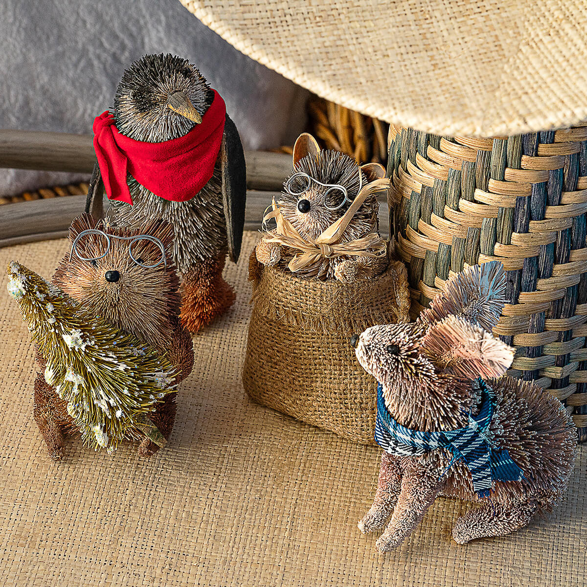 KLASSY COLLECTION - Design Commune Feature